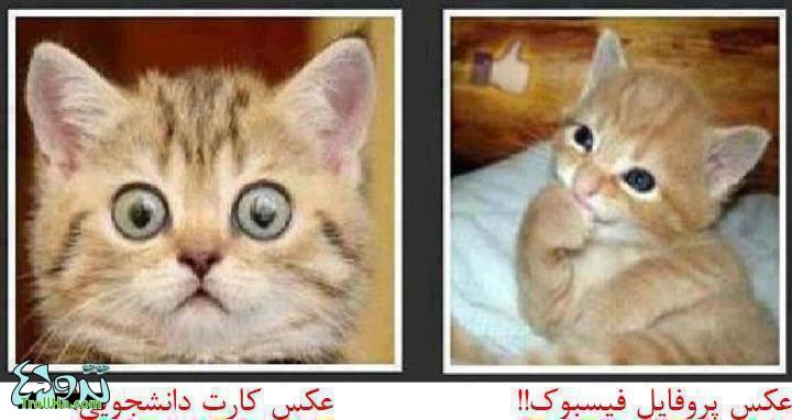عکس های خنده دار